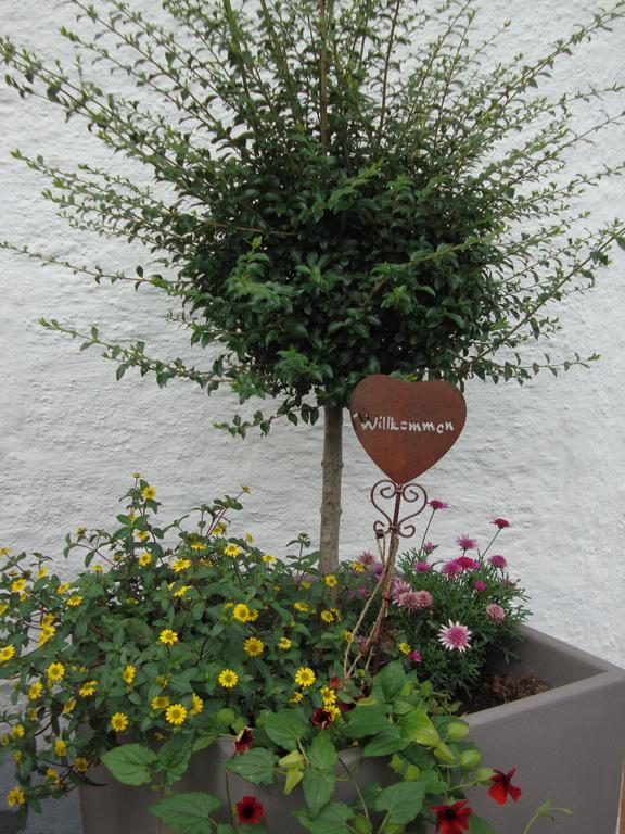 上施陶芬 Weixler Schindelberg酒店 外观 照片